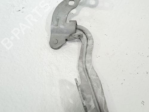 Hinge/Door check strap FORD TRANSIT COURIER B460 Box Body/MPV 1.5 TDCi | BP28958491C146 
