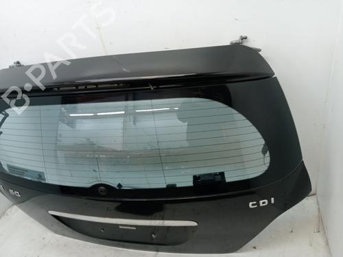 Tailgate MERCEDES-BENZ R-CLASS (W251, V251) R 280 CDI (251.121, 251.026, 251.126) | BP23354067C6 