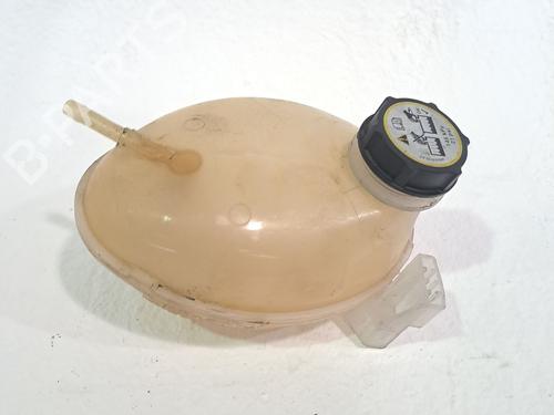 Expansion tank FORD ECOSPORT 1.0 EcoBoost | BP29025221C120 