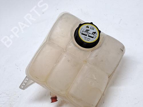 Ekpansionstank FORD TRANSIT CONNECT V408 Box Body/MPV 1.6 TDCi (95 hp) 25998313