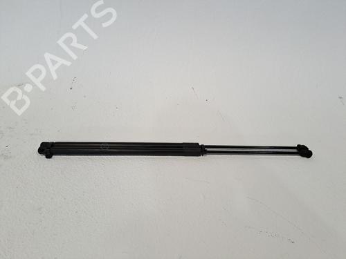 Tailgate lift support FORD C-MAX II (DXA/CB7, DXA/CEU) 1.0 EcoBoost | BP23942560C138 