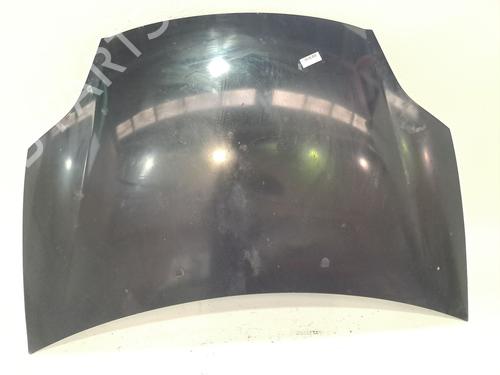 Used Hood FIAT BRAVO II (198_) 1.9 D Multijet (198AXB1A) (120 hp) 24329311