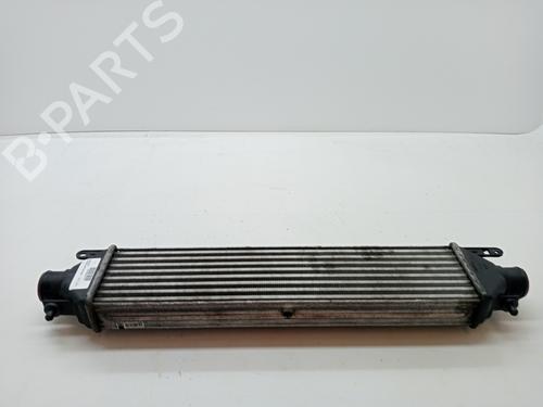 Intercooler FIAT DOBLO Cargo (263_) 1.3 D Multijet (90 hp) 23344610