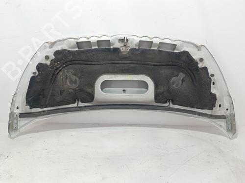 Hood FIAT SCUDO Van (270_, 272_) 2.0 D Multijet | BP29744959C1 