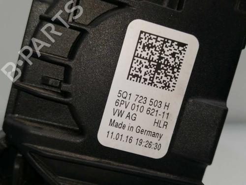 Used Pedal VW GOLF VII (5G1, BQ1, BE1, BE2) 1.6 TDI (105 hp) 23874582