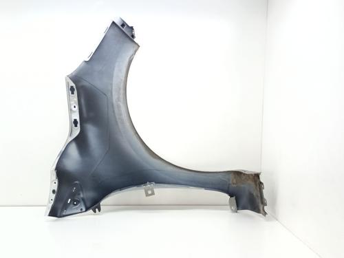 Left front fenders RENAULT CLIO IV (BH_) 0.9 TCe 90 (BHNF, BHMA, BHMH, BHJK, BHJR) | BP29179361C41 