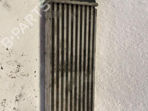 Used Intercooler Intercooler LANCIA PHEDRA (179_) 2.2 JTD (179AXC1A) (128 hp) 34238700 34238700