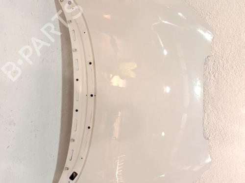 Used Hood Hood SEAT ALTEA XL (5P5, 5P8) 1.6 LPG (102 hp) 36257692 36257692