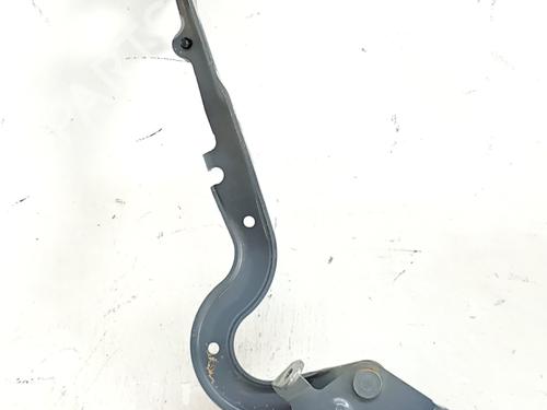 Hinge/Door check strap OPEL CORSA F (P2JO) 1.2 MHEV | BP32285205C146