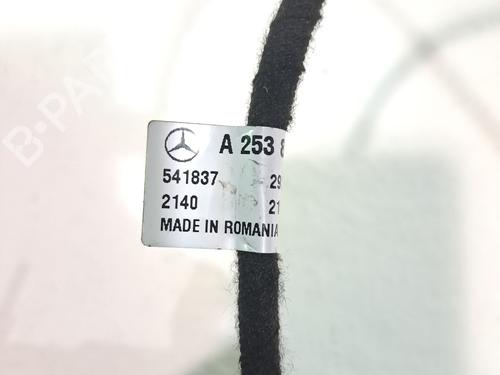 Tailgate lift support MERCEDES-BENZ GLC Coupe (C253) 220 d 4-matic (253.303, 253.305) | BP29052142C138 