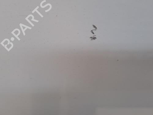 Left front door VW TRANSPORTER T6 Van (SGA, SGH, SHA, SHH) 2.0 TDI | BP29228775C2 