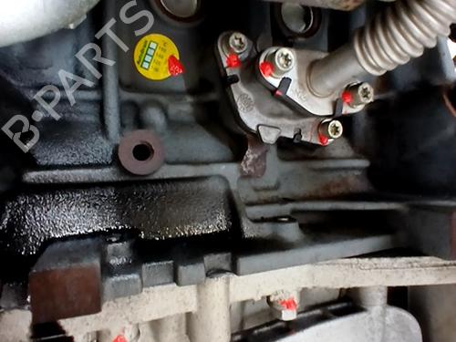 Engine LANCIA MUSA (350_) 1.3 D Multijet (350.AXG11, 350.AXG1A) | BP29697520M1