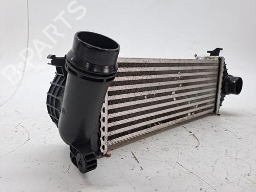 Intercooler RENAULT KANGOO / GRAND KANGOO II (KW0/1_) 1.5 dCi 90 (KW18) | BP27462254M30 