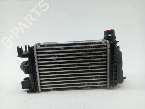 Intercooler NISSAN MICRA V (K14) 0.9 IG-T | BP23977179M30 