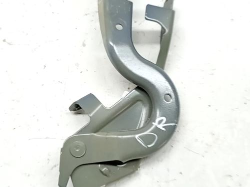 Hinge/Door check strap OPEL CORSA F (P2JO) 1.2 Turbo Hybrid (68) | BP32042120C146
