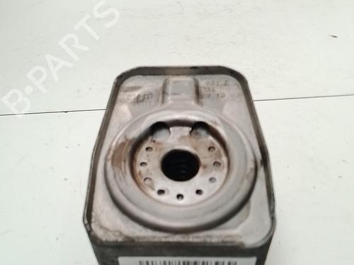 Used Oil radiator Oil radiator VW PASSAT B6 (3C2) 2.0 TDI 16V (140 hp) 39740900 39740900