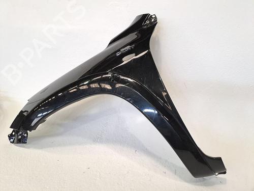 Left front fenders TOYOTA RAV 4 III (_A3_) 2.2 D 4WD (ALA30_, ALA30R) | BP25613530C41 