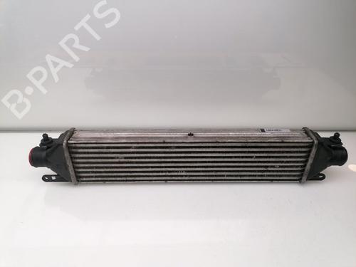 Intercooler FIAT DOBLO MPV (119_, 223_) 1.3 JTD | BP24188413M30 