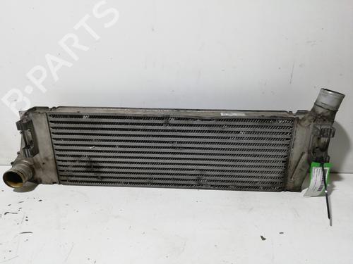 Intercooler RENAULT SCÉNIC II (JM0/1_) 1.5 dCi (JM02, JM13) | BP26539116M30 