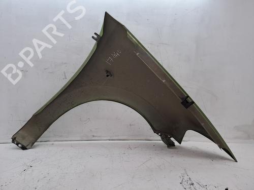 Left front fenders CITROËN C3 I (FC_, FN_) 1.4 HDi | BP26315352C41 