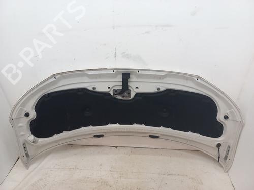 Hood VW TRANSPORTER T6 Van (SGA, SGH, SHA, SHH) 2.0 TDI | BP29744985C1