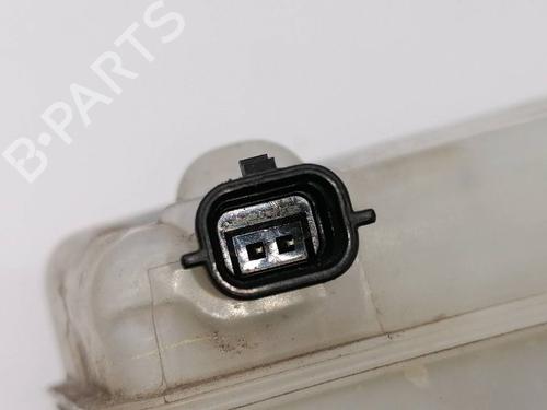 Brake master cylinder RENAULT MEGANE III Hatchback (BZ0/1_, B3_) 1.5 dCi (BZ0C) | BP23383860M77 