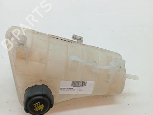 Used Expansion tank RENAULT KANGOO Express (FW0/1_) 1.5 dCi 75 (FW07, FW10, FW04) (75 hp) 23344927