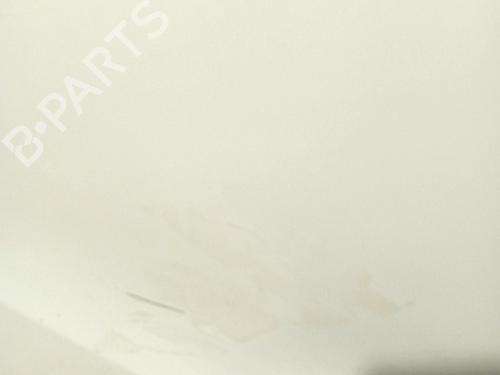 Left front door RENAULT TRAFIC III Van (FG_) 1.6 dCi 120 (FGMK) | BP29627080C2 