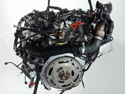 Engine AUDI Q5 (FYB, FYG) 35 TDI quattro | BP29301704M1 