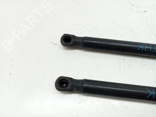 Tailgate lift support BMW 1 (E87) 116 d | BP29228262C138 