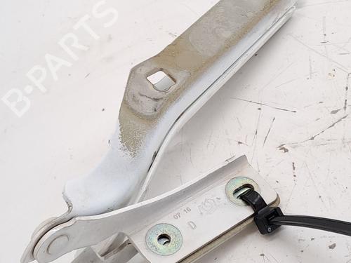 Hinge/Door check strap CITROËN BERLINGO Box Body/MPV (B9) 1.6 HDi / BlueHDi 75 | BP29024680C146 