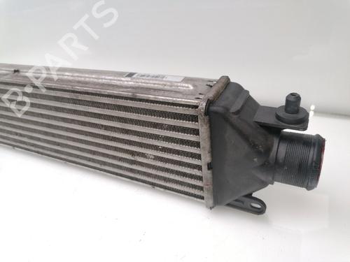 Intercooler FIAT DOBLO MPV (119_, 223_) 1.3 JTD | BP24188413M30 
