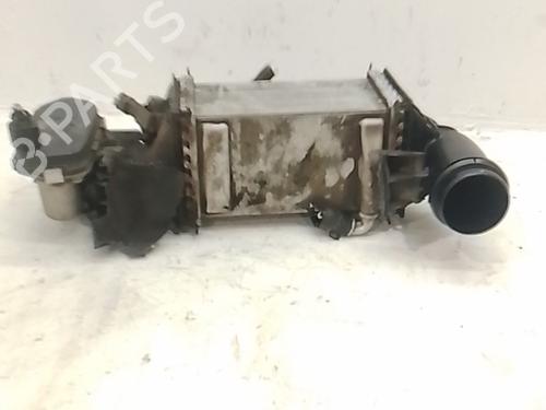 Intercooler Intercooler 38420005 38420005