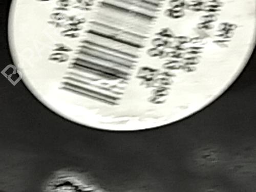 Radiator fan SEAT LEON (1P1) 1.9 TDI | BP31035912M35