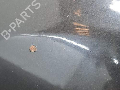 Hood RENAULT MEGANE III Hatchback (BZ0/1_, B3_) 1.5 dCi | BP25998563C1 