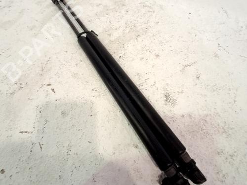 Used Tailgate lift support FIAT 500 (312_) 1.2 (312AXA1A) (69 hp) 29558837