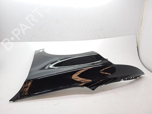 Left front fenders CITROËN C4 II (NC_) 1.2 THP 130 (NCHNYM, NCHNYT) | BP23376569C41 