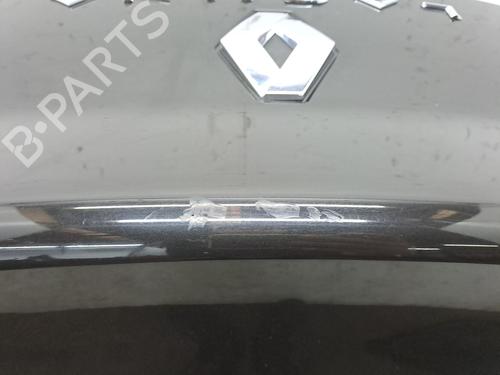 Used Tailgate RENAULT LAGUNA Coupe (DT0/1) 2.0 dCi (DT01, DT08, DT09, DT0K, DT12, DT1C, DT1D, DT1M,... (150 hp) 24402617
