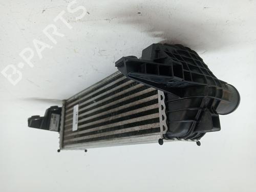 Intercooler FORD TRANSIT CONNECT (P65_, P70_, P80_) 1.8 Di | BP27700224M30 