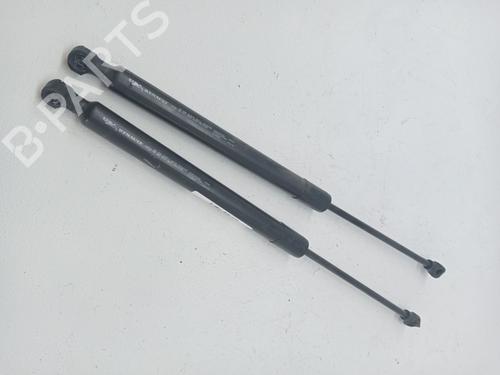 Used Tailgate lift support RENAULT ZOE (BFM_) ZOE (88 hp) 27519627