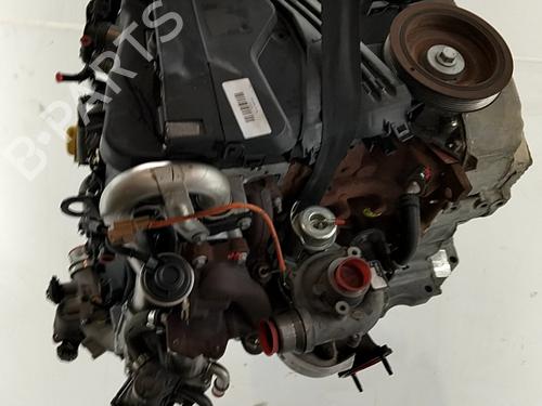 Used Engine DACIA DOKKER Box Body/MPV 1.5 dCi 75 / Blue dCi 75 (FEJW, FEAH) (75 hp) 31609687