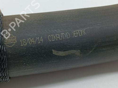 Pipe NISSAN QASHQAI II (J11, J11_) 1.5 dCi | BP25456029M125 