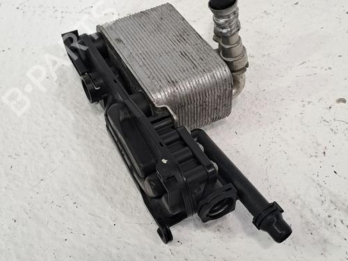 Hinge/Door check strap BMW 5 (E60) 530 i xDrive | BP25999490C146 