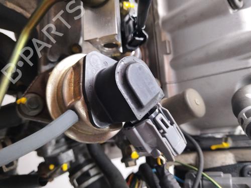 Engine FORD FIESTA VII (HJ, HF) 1.0 EcoBoost | BP24109219M1 