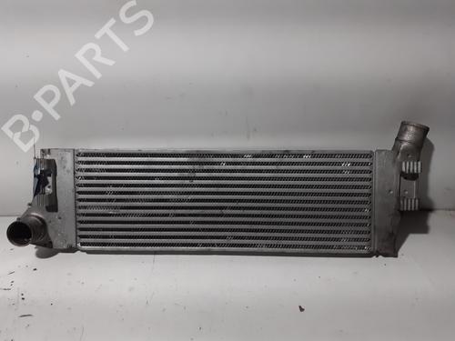 Used Intercooler RENAULT MEGANE II (BM0/1_, CM0/1_) 1.5 dCi (BM0F, BM0T, BM2B, CM0F, CM0T) (82 hp) 25988087