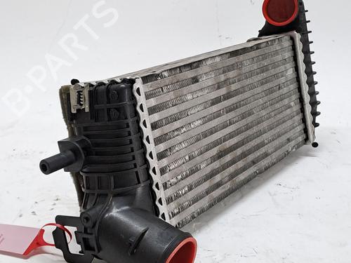 Intercooler FORD TRANSIT CONNECT V408 Box Body/MPV 1.6 TDCi | BP25998317M30 