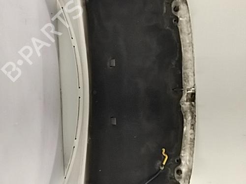 Hood PEUGEOT 308 I (4A_, 4C_) 1.6 HDi | BP29500517C1 