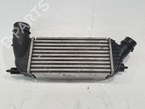 Intercooler FIAT SCUDO Van (270_, 272_) 2.0 D Multijet (128 hp) 24445203