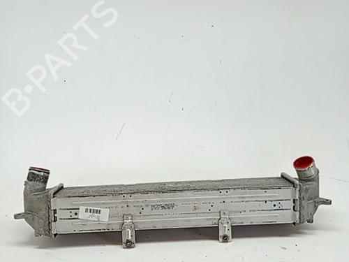 Intercooler HYUNDAI KONA (OS, OSE, OSI) 1.0 T-GDi | BP30771913M30