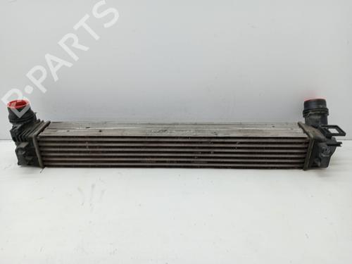 Intercooler RENAULT KANGOO / GRAND KANGOO II (KW0/1_) 1.5 dCi 75 (KW07, KW10, KW04) (75 hp) 25457049